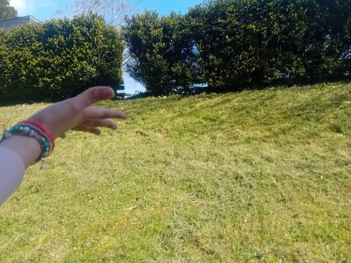20260324_133248.jpg