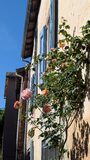 Galerie photo 
